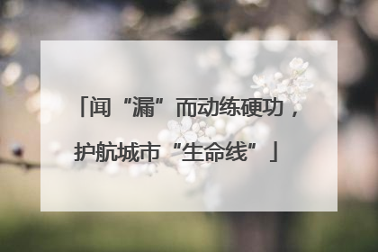 闻“漏”而动练硬功，护航城市“生命线”