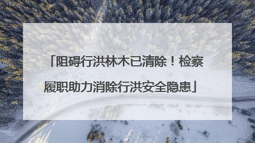 阻碍行洪林木已清除！检察履职助力消除行洪安全隐患