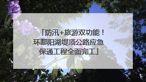 防汛+旅游双功能！环鄱阳湖堤顶公路应急保通工程全面完工