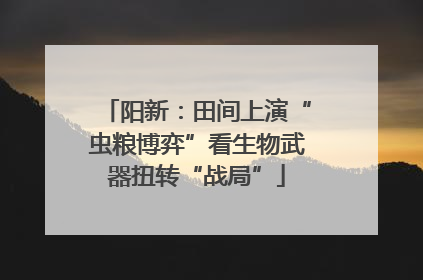 阳新：田间上演“虫粮博弈”看生物武器扭转“战局”