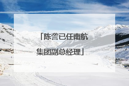 陈詟已任南航集团副总经理