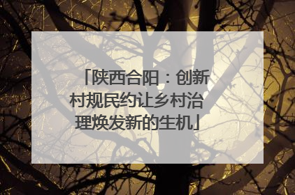 陕西合阳：创新村规民约让乡村治理焕发新的生机