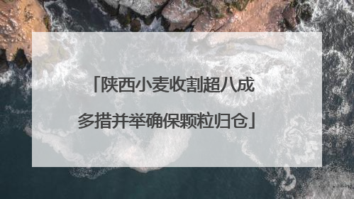 陕西小麦收割超八成 多措并举确保颗粒归仓