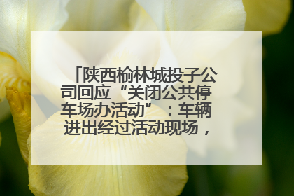 陕西榆林城投子公司回应“关闭公共停车场办活动”：车辆进出经过活动现场，为安全临时关闭