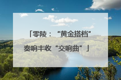 零陵：“黄金搭档”奏响丰收“交响曲”
