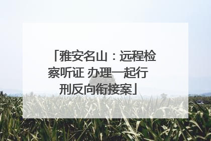雅安名山：远程检察听证 办理一起行刑反向衔接案
