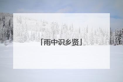 雨中识乡贤