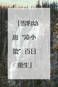 雪豹幼崽“凌小蛰”百日重生