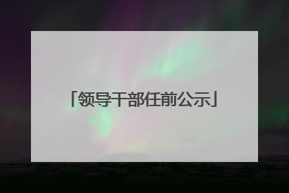 领导干部任前公示