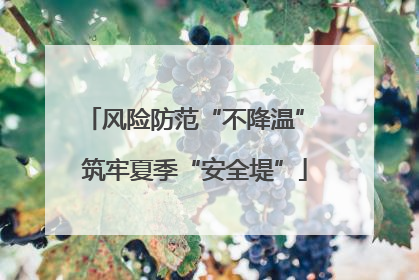 风险防范“不降温” 筑牢夏季“安全堤”