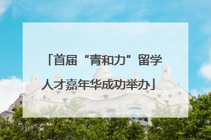 首届“青和力”留学人才嘉年华成功举办