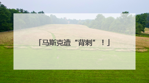 马斯克遭“背刺”！