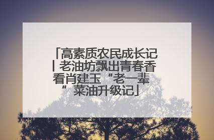 高素质农民成长记丨老油坊飘出青春香 看肖建玉“老一辈”菜油升级记