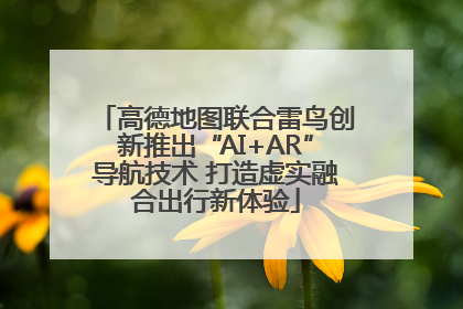 高德地图联合雷鸟创新推出“AI+AR”导航技术 打造虚实融合出行新体验