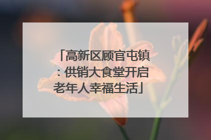 高新区顾官屯镇：供销大食堂开启老年人幸福生活