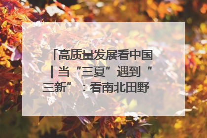 高质量发展看中国｜当“三夏”遇到“三新”：看南北田野里的科技共生记