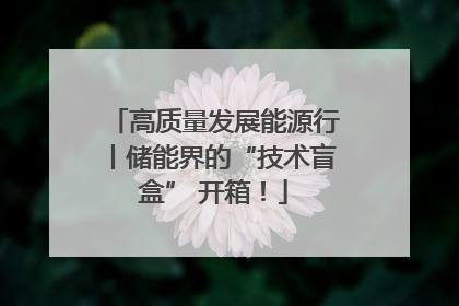 高质量发展能源行丨储能界的“技术盲盒” 开箱！
