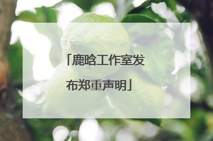 鹿晗工作室发布郑重声明