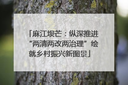麻江坝芒：纵深推进“两清两改两治理”绘就乡村振兴新图景