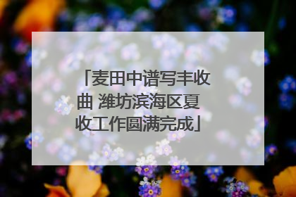 麦田中谱写丰收曲 潍坊滨海区夏收工作圆满完成