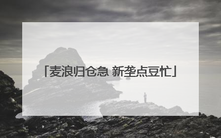 麦浪归仓急 新垄点豆忙
