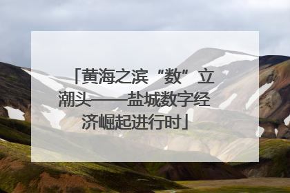 黄海之滨“数”立潮头——盐城数字经济崛起进行时