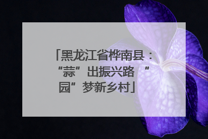 黑龙江省桦南县：“蒜”出振兴路 “园”梦新乡村