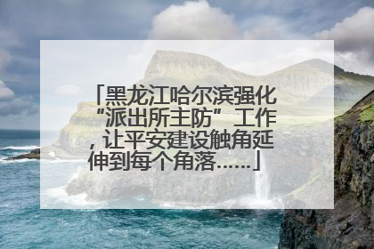 黑龙江哈尔滨强化“派出所主防”工作，让平安建设触角延伸到每个角落……
