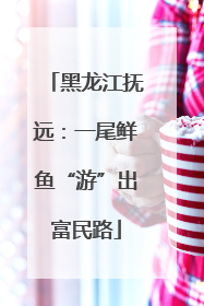 黑龙江抚远：一尾鲜鱼“游”出富民路