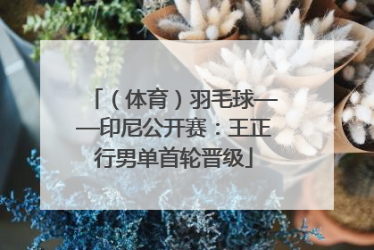 （体育）羽毛球——印尼公开赛：王正行男单首轮晋级