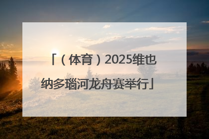 （体育）2025维也纳多瑙河龙舟赛举行