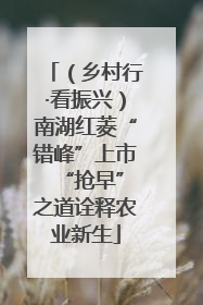 （乡村行·看振兴）南湖红菱“错峰”上市 “抢早”之道诠释农业新生