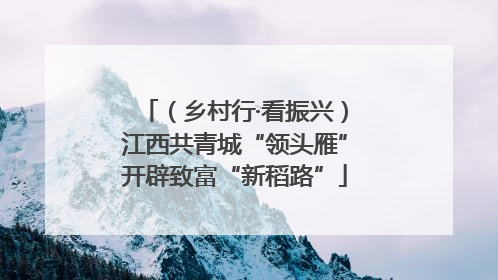 （乡村行·看振兴）江西共青城“领头雁”开辟致富“新稻路”