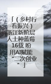 （乡村行·看振兴）浙江新阶层人士种蓝莓16载 盼用AI赋能“二次创业”