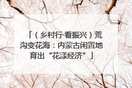 （乡村行·看振兴）荒沟变花海：内蒙古闲置地育出“花漾经济”