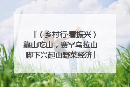 （乡村行·看振兴）靠山吃山，赛罕乌拉山脚下兴起山野菜经济