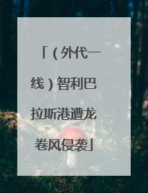 （外代一线）智利巴拉斯港遭龙卷风侵袭