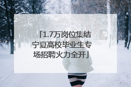 1.7万岗位集结 宁夏高校毕业生专场招聘火力全开