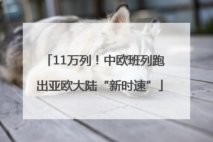 11万列！中欧班列跑出亚欧大陆“新时速”