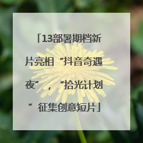 13部暑期档新片亮相“抖音奇遇夜”，“拾光计划”征集创意短片