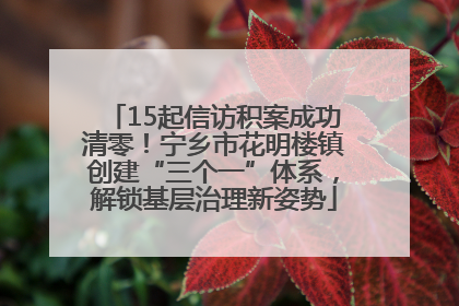 15起信访积案成功清零！宁乡市花明楼镇创建“三个一”体系，解锁基层治理新姿势
