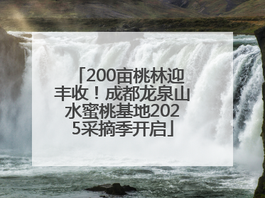 200亩桃林迎丰收！成都龙泉山水蜜桃基地2025采摘季开启