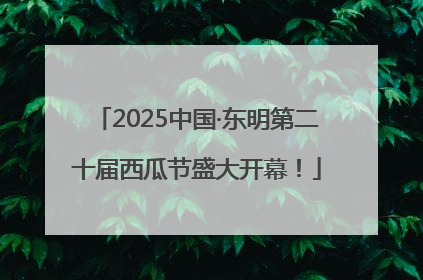 2025中国·东明第二十届西瓜节盛大开幕！