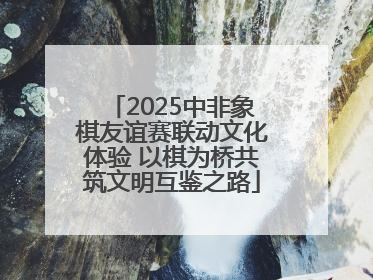 2025中非象棋友谊赛联动文化体验 以棋为桥共筑文明互鉴之路