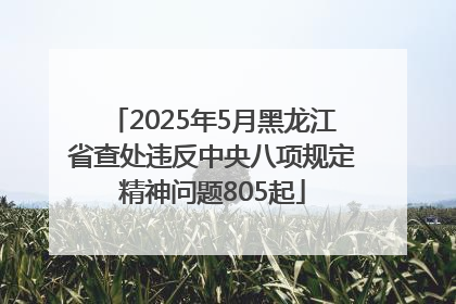 2025年5月黑龙江省查处违反中央八项规定精神问题805起