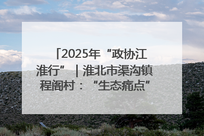 2025年“政协江淮行”｜淮北市渠沟镇程阁村：“生态痛点”变“生态景观”