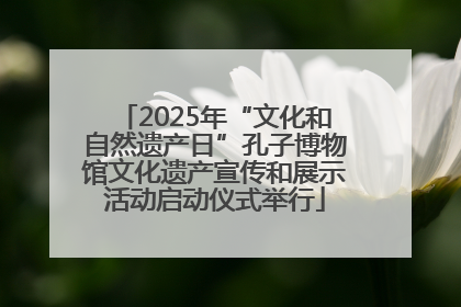 2025年“文化和自然遗产日”孔子博物馆文化遗产宣传和展示活动启动仪式举行