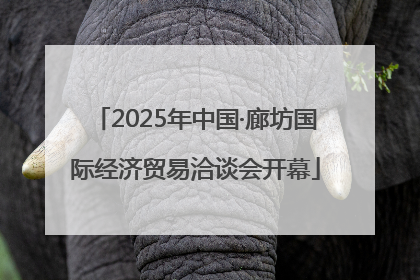 2025年中国·廊坊国际经济贸易洽谈会开幕