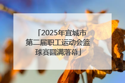 2025年宜城市第二届职工运动会篮球赛圆满落幕