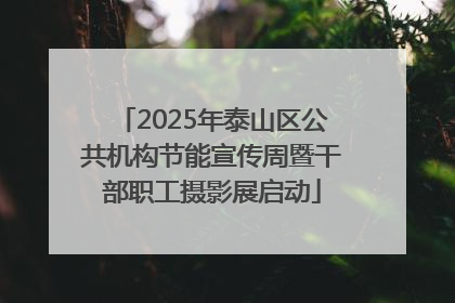 2025年泰山区公共机构节能宣传周暨干部职工摄影展启动